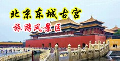 骚比美女网站中国北京-东城古宫旅游风景区